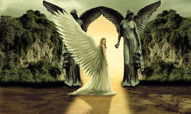 Celestial Havens